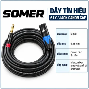 Dây tín hiệu 6Ly+Jack somer